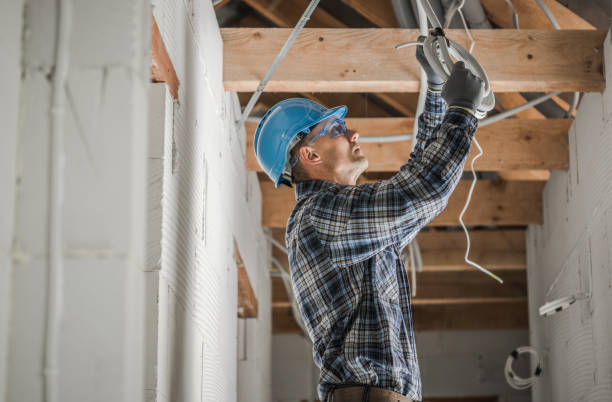 Best Commercial Electrician Services  in Palmview, TX