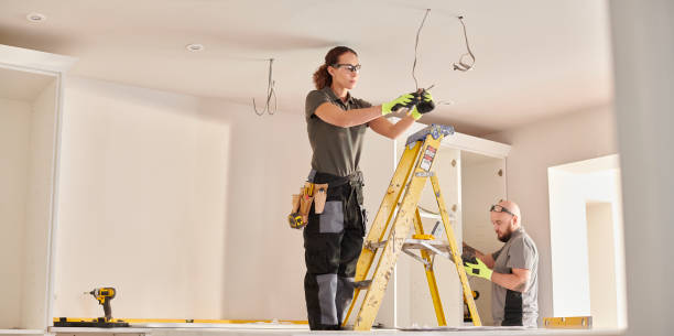Best Home Electrical Repair  in Palmview, TX