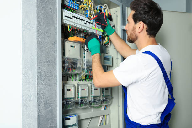 Best Affordable Electrician  in Palmview, TX