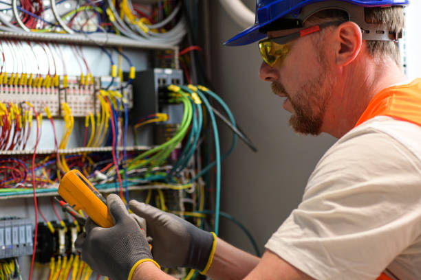 Best Residential Electrician Services  in Palmview, TX
