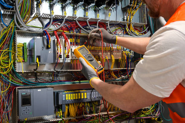 Best Local Electrician Companies  in Palmview, TX