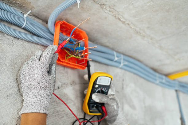 Best Electric Panel Repair  in Palmview, TX